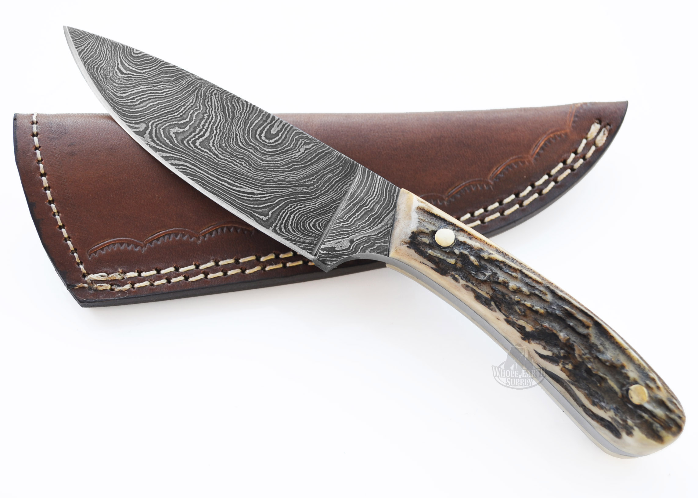 Stag Antler Damascus Knife Skinning Custom Knives Deer Drop Point Sheath
